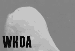 a black and white photo of a snowy owl with the words `` whoa '' written on the bottom .