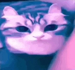 a close up of a cat 's face with a pink background .