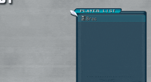 a computer screen shows a player list and a guild invite sent