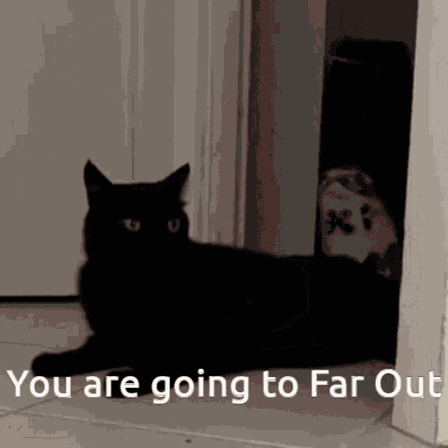Far Out GIF - Far Out GIFs