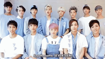 Say The Name, Seventeen GIF - Seventeen Svt Kpop GIFs