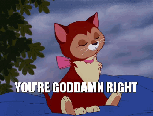 a cartoon cat with the words you 're goddamn right written below it