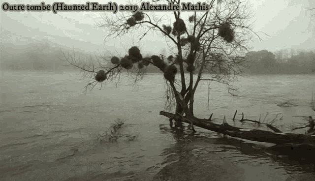 Outre Tombe Haunted Earth GIF - Outre Tombe Haunted Earth Alexandre Mathis GIFs