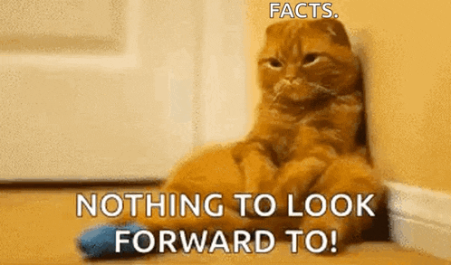 a cat is sitting on the floor with the words facts nothing to look forward to