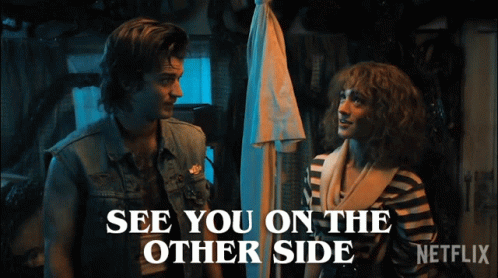 See You On The Other Side Steve Harrington GIF