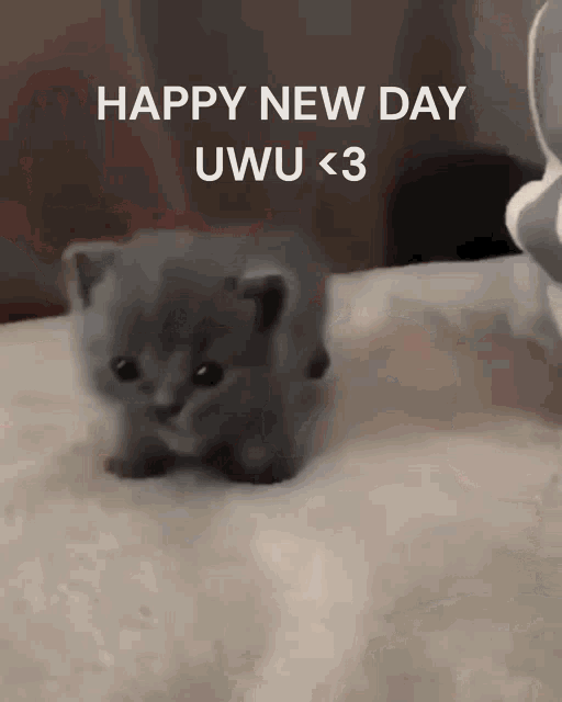 a kitten is sitting on a bed with the words happy new day uwu < 3