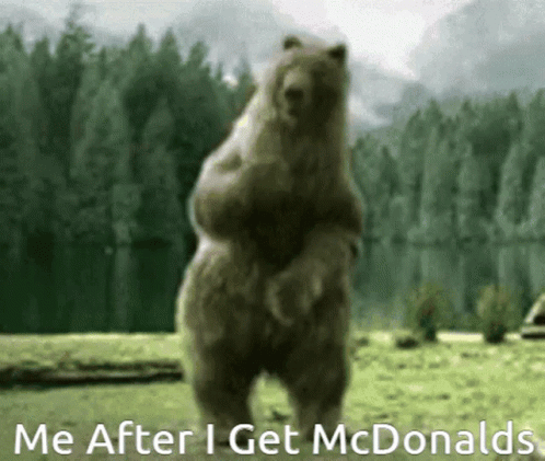Mcdonalds Bear GIF - Mcdonalds Bear Me After I Get Mcdonalds GIFs