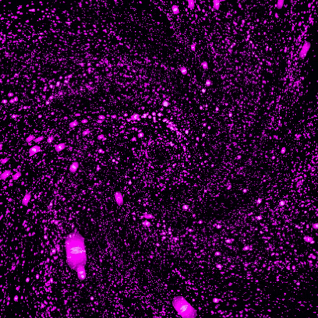 a purple background with a lot of purple spots on it