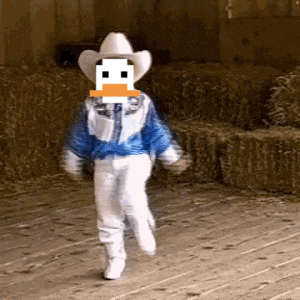 a child wearing a cowboy hat and a duck face is running
