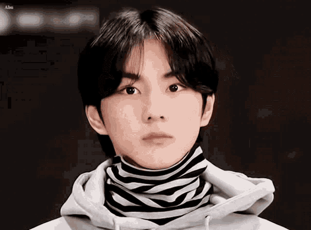a young man wearing a hoodie and a striped scarf around his neck .