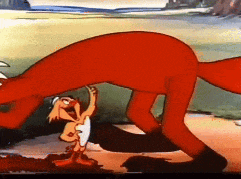 a cartoon of a kangaroo eating a man 's shirt