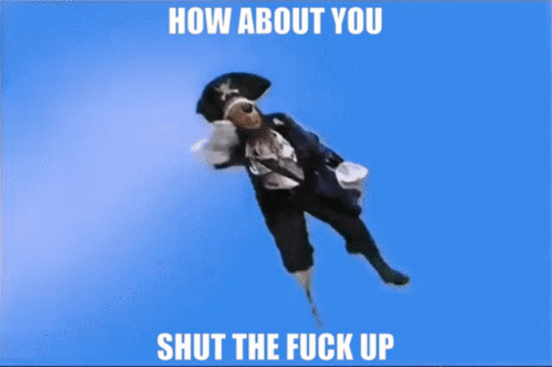 Patchy Patchy The Pirate GIF - Patchy Patchy The Pirate How About You Shut The Fuck Up GIFs