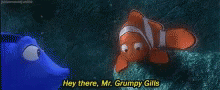 Dory Hey There Grumpy Gills GIF - Dory Hey There Grumpy Gills Marlin GIFs