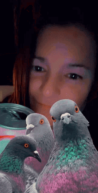Laugh Drink Up GIF - Laugh Drink Up Birds GIFs