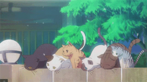 Cats Anime GIF - Cats Anime Cute GIFs