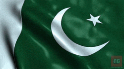 Pakistan Flag GIF - Pakistan Flag Flag Of Pakistan GIFs