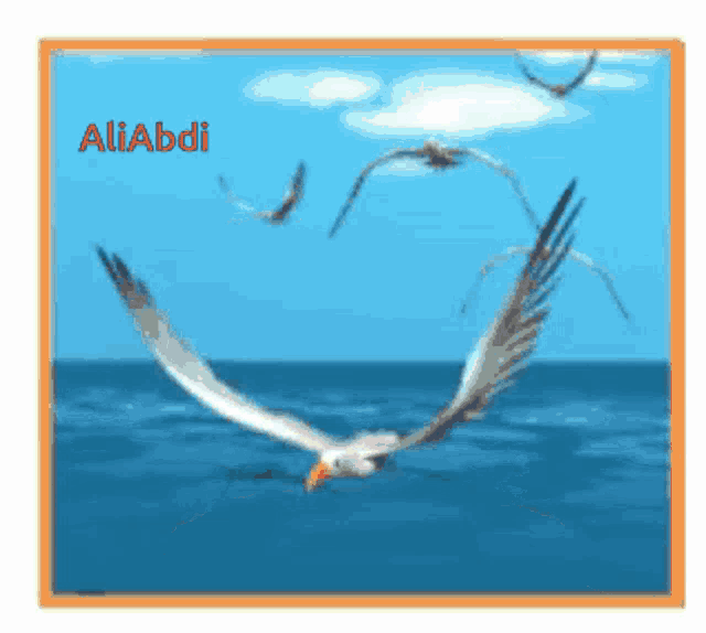 a picture of seagulls flying over the ocean with the name aliabdi written on the bottom