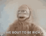 a close up of a monkey with the words `` we bout to be rich '' written above it .