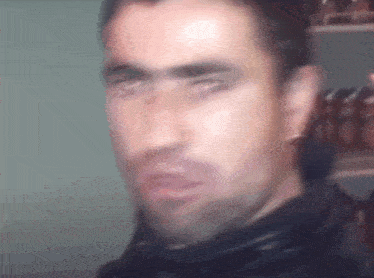 5 Beri Talpa Bere Talpa GIF