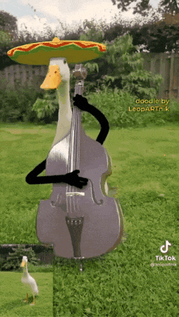 a duck is playing a double bass and wearing a sombrero