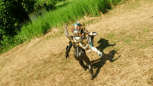 a person in a costume is standing in a field
