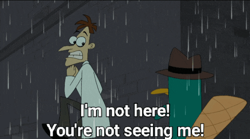 perry the platypus says i 'm not here and you 're not seeing me