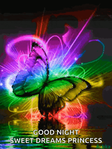 a colorful butterfly with the words good night sweet dreams princess written below it