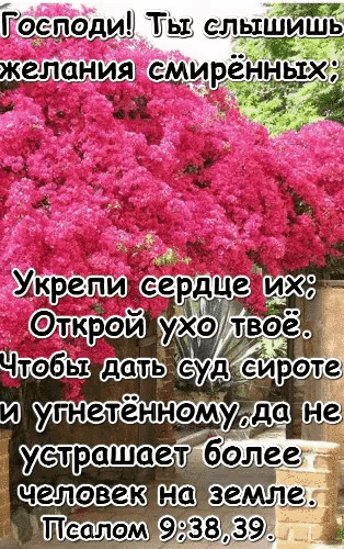 Good Morning Flowers GIF
