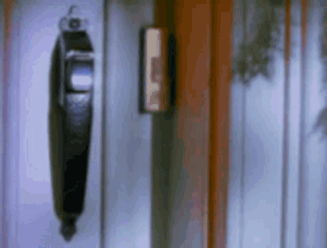 Peteandpete Halloween GIF