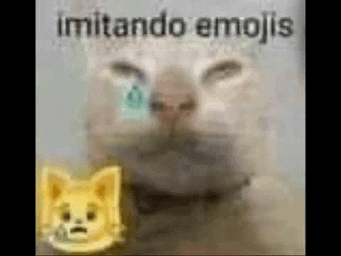 a cat with a collar is crying next to an emoji of a dog .