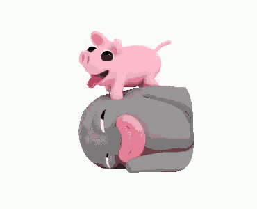 a pig is sitting on top of a sleeping elephant .
