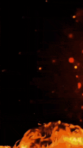 a close up of a fire on a black background .