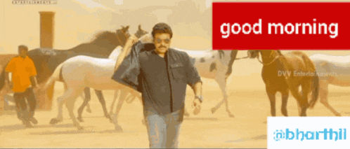 a man standing in front of a herd of horses with the words good morning on the bottom