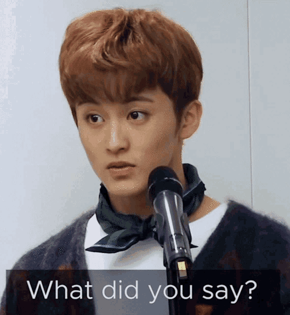a young man stands in front of a microphone with the words " what did you say " below him