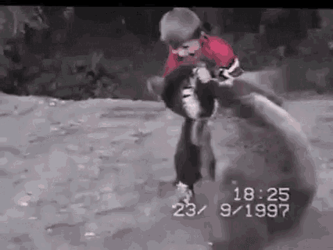 a young boy is playing with a bear in a video .