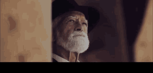 a man with a beard wearing a cowboy hat and tie