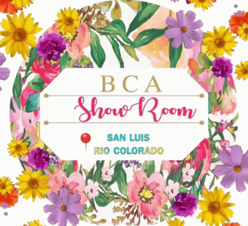 Bca Bca Showroom GIF - Bca Bca Showroom San Luis Rio Colorado GIFs