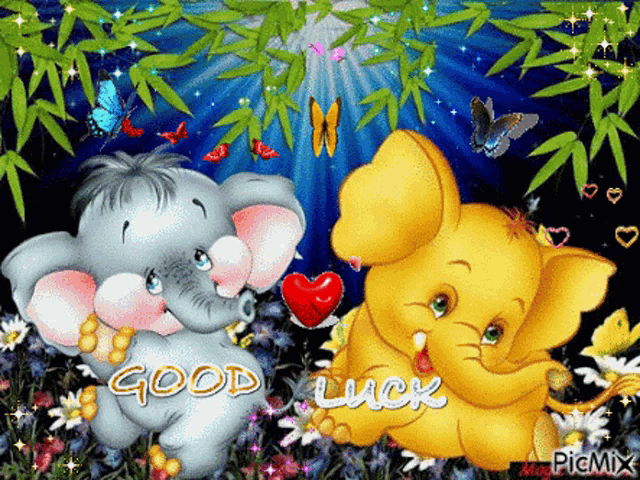 a couple of elephants are hugging each other and the words good luck are on the bottom