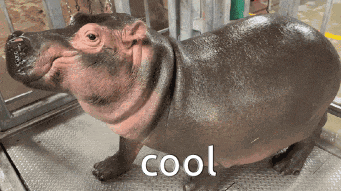 a hippopotamus is standing on a metal surface with the word cool written below it