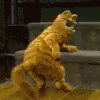 加菲猫 跳舞 性感 GIF - Garfield Dance Sexy GIFs