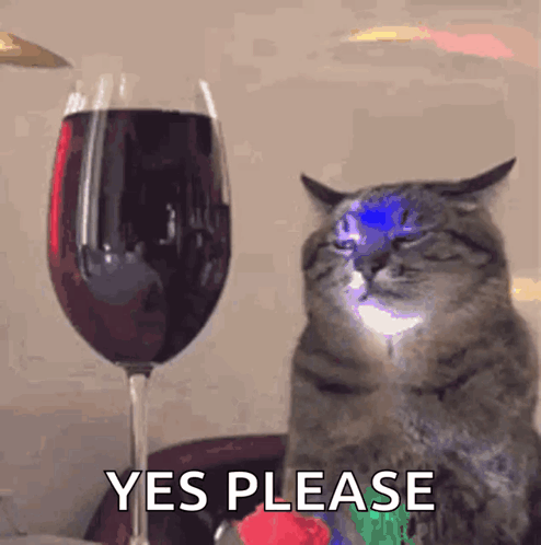 Yes Please Wine Please GIF - Yes Please Wine Please Cat GIFs