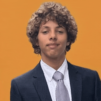 a young man with curly hair is wearing a blue suit and tie