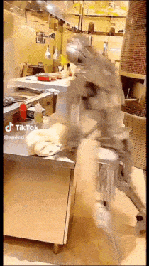 a person is standing in a kitchen with a tiktok logo on the bottom right