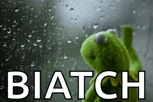 a kermit the frog is looking out a window with the word biatch written below him