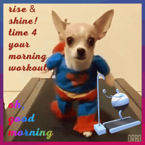 Good Morning Workout GIF - Good Morning Workout Rise And Shine GIFs