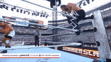 two wrestlers in a wrestling ring with the words summerslam on the ring