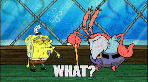 What? GIF - Spongebob Squarepants Nickelodeon GIFs