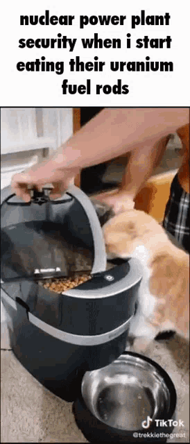 a dog is eating a bowl of food from a nuclear power plant .