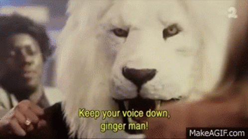 Keep Your Voice Down Ginger Man GIF - Keep Your Voice Down Ginger Man Punch GIFs