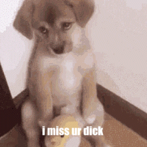 a puppy is sitting next to a stuffed animal and says i miss ur dick .